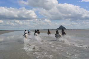 Au galop au cœur de la baie